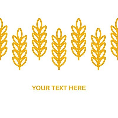 EPS 해외이미지 식물 실루엣 선 음식 빵 밭 농업 일러스트 자연 밥 맥주 건강 옥수수 씨앗 그래픽 농작물 농장 노란색 화환 빵집 수확 황금 낟알 시리얼 밀 심볼 사인 유기농 보리 귀 밀가루 내추럴 고립 밭일 벡터 귀리 해외202309 해외일러스트 웰빙 꽃 산업 컬러 곡류 주류 촬영기법 신체부위 상점 가루 생태계 파일형식