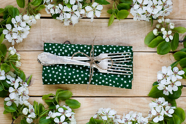 포토 JPG 해외이미지 나무 식물 꽃잎 꽃 별 컬러 꽃다발 백그라운드 포크 꽃무늬 패턴 자연 표면 프레임 풍경 사람없음 목재 장식 초록색 여름 햇빛 뷰티 정원 봄 활발 젖음 흰색 나뭇가지 시골 직물 개화 보호 숲 천 타일 유기농 질감 복고 옛날 해외202309 해외포토 자연요소 식기 웰빙 계절 컨셉 무늬 재료 태양 생태계 파일형식