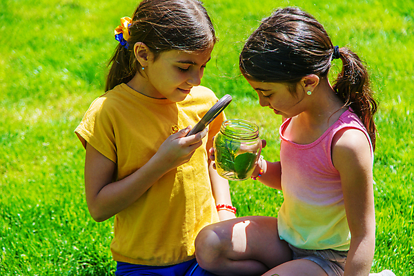포토 JPG 해외이미지 여자 어린이 자연 돋보기 유리병 들기 상반신 야외 두명 관찰 소녀만 해외포토 모션 병_용기 사람 생태계 여자만 어린이만 파일형식