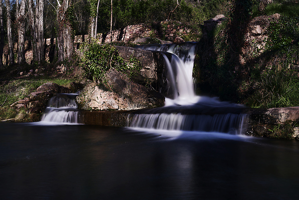 포토 JPG 해외이미지 잎 모션 자연 동화 날씨 산 요정 사람없음 물 세계 달리기 평화 스파 젖음 흐름 시간 개울 닫기 떨어짐 매끈함 소프트포커스 숲 시원함 땅 순수 속도 상쾌 그런지 깊이 블러 삼림지대 웅장함 전국 파라다이스 현재 해외202309 해외포토 자연요소 식물 감정 컨셉 촬영기법 강 감각 생태계 파일형식