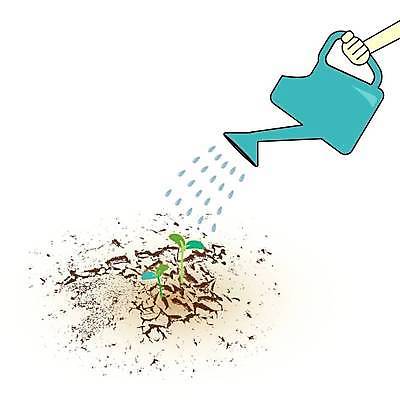 EPS 해외이미지 나무 식물 손 지구 컨셉 잎 농업 일러스트 자연 새로움 건조 씨앗 초록색 물 글로벌 새싹 환경 희망 흙 봄 물뿌리개 성장 흰색 균열 작음 땅 물주기 원예 가뭄 땅바닥 모종 묘목 생태학 벡터 해외202309 해외일러스트 자연요소 계절 교육 감정 산업 컬러 모션 날씨 바닥 취미 신체부위 크기 생태계 파일형식