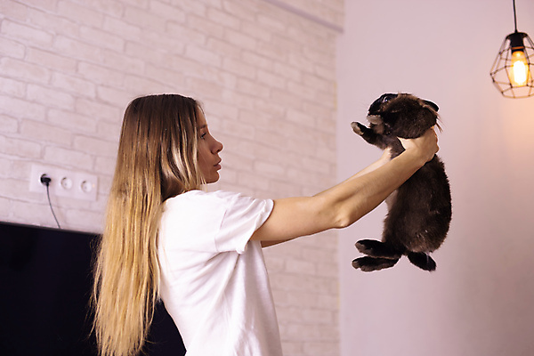 포토 JPG 해외이미지 한마리 여자 포유류 실내 한명 들기 상반신 성인 옆모습 반려동물 갈색 마주보기 토끼 작음 돌봄 성인여자한명만 해외202309 해외포토 동물 1 뷰포인트 컬러 모션 사람 내부 크기 여자한명만 성인여자만 파일형식