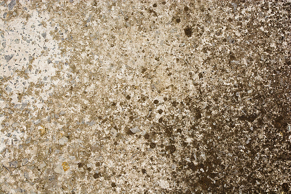 포토 JPG 해외이미지 디자인 벽 컬러 백그라운드 패턴 건축양식 벽지 표면 날씨 추상 바닥 이끼 사람없음 내부 우주 공백 손상 회색 수확 골동품 도시 얼룩 거친 역사 버리기 묘사 질감 복고 시멘트 스크래치 구식 옛날 콘크리트 노화 효과 해외202309 해외포토 건축 컨셉 무늬 농업 모션 파일형식