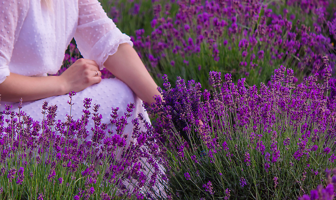 포토 JPG 해외이미지 백인 모델 모자 드레스 여자 꽃 행복 컬러 여행 백그라운드 꽃무늬 밭 자연 휴식 풍경 사람없음 야외 여름 파란색 컬러풀 뷰티 유행 맑음 보라색 스파 일몰 봄 기쁨 자유 프랑스 시골 허브 제비꽃 아로마테라피 라벤더 내추럴 프로방스 해외202309 해외포토 서양인 식물 잡화 옷 계절 감정 유럽 컨셉 무늬 농업 날씨 사람 노을 생태계 테라피 파일형식