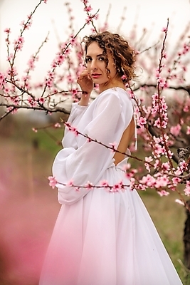 포토 JPG 해외이미지 응시 드레스 여자 한명 상반신 성인 야외 옆모습 뷰티 봄 벚나무 성인여자한명만 해외202309 해외포토 나무 1 시선 옷 계절 뷰포인트 사람 벚꽃 여자한명만 성인여자만 파일형식