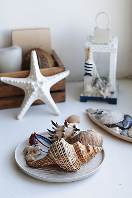 포토 JPG 해외이미지 접시 바다 유리 아침 휴가 조개 불가사리 주택 따뜻함 사람없음 목재 여름 파란색 태양 뷰티 맑음 흰색 등불 투명 분위기 클래식 향기 코코넛 그리스인 거짓말 스칸디나비아 스타일 안락 해외202309 해외포토 주간 자연요소 서양인 나무 식기 계절 컬러 컨셉 과일 재료 재질 날씨 어패류 조명 극피동물 건물 냄새 파일형식