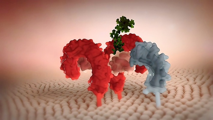 포토 JPG 해외이미지 컬러 이동 사람없음 컬러풀 꼬리표 흰색 그룹 플랫 묘기 흰배경 심플 활기 고립 파스텔톤 해외202309 해외포토 백그라운드 컨셉 라벨 파일형식