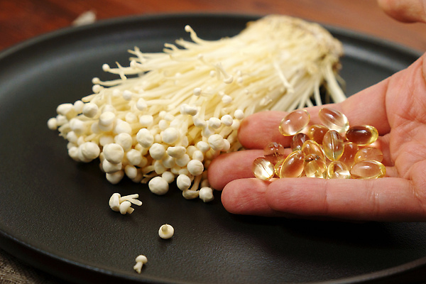 포토 JPG 해외이미지 음식 백그라운드 재료 자연 건강 사람없음 약 식사 버섯 그룹 맛 묘사 유기농 날것 유지 내추럴 곰팡이 돌봄 바이오 식용 채식주의자 비건 슬로모션 해외202309 해외포토 웰빙 컨셉 의학 모션 촬영기법 생태계 채식 파일형식