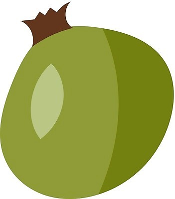 EPS 해외이미지 식물 계절 열매 음식 과일 일러스트 재료 자연 건강 치료 초록색 약 장미 환경 정원 수확 가을 신선 플랫 약초 상품 만화 허브 유기농 생태계 날것 비타민 내추럴 바이오 생태학 숙성 벡터 해외202309 해외일러스트 웰빙 교육 꽃 컬러 농업 의학 풀_식물 영양소 파일형식