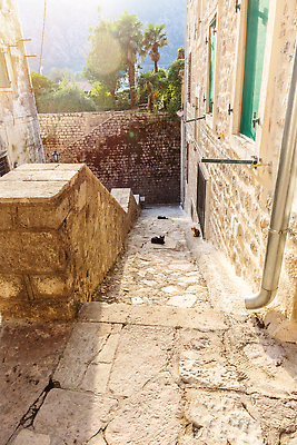 포토 JPG 해외이미지 벽 여행 건축양식 휴가 거리 사람없음 맑음 조약돌 도시 성 중세 역사 재산 지중해 좁은 주말 타운 랜드마크 몬테네그로 발칸반도 옛날 해외202309 해외포토 건축물 건축 바다 날씨 금융 돌_바위 파일형식