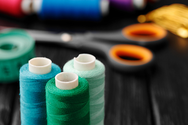 포토 JPG 해외이미지 백그라운드 사람없음 실 바느질 나무배경 해외202309 해외포토 파일형식