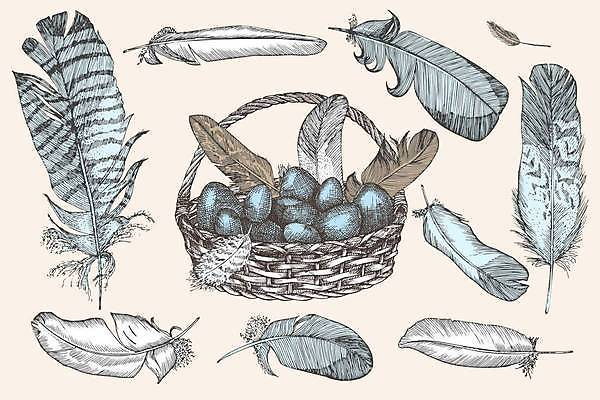 EPS 해외이미지 손 디자인 행복 실루엣 종교 어린이 선 음식 백그라운드 일러스트 포장 조류 부활절 잉크 미술 여러명 장식 파란색 세트 농장 바구니 계란 검은색 식사 봄 수확 흰색 신선 그리기 둥지 스케치 수집 심볼 깃털 그림 복고 사냥 윤곽 판화 내추럴 스크램블 암탉 옛날 스타일 벡터 해외202309 해외일러스트 동물 계절 기념일 감정 컬러 다수 농업 모션 문화예술 촬영기법 사람 신체부위 알 닭 암컷 계란요리 파일형식