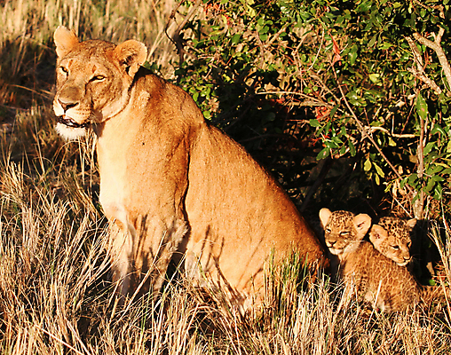 포토 JPG 해외이미지 동물 여행 조류 사람없음 여행객 해외202309 해외포토 사람 파일형식