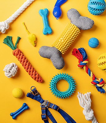 포토 JPG 해외이미지 밧줄 인형 공 사람없음 하이앵글 노란색 개밥그릇 개뼈다귀 애견빗 해외202309 해외포토 반려용품 그릇 줄 뷰포인트 컬러 오브젝트 애견용품 애견간식 파일형식