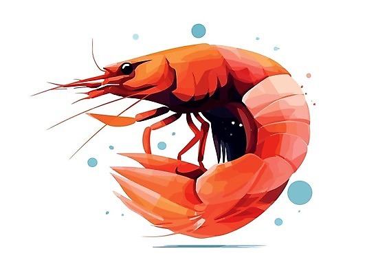 EPS 해외이미지 동물 디자인 실루엣 음식 바다 백그라운드 일러스트 재료 자연 조개 새우 건강 갑각류 어류 요리 미술 그래픽 빨간색 물 라벨 식당 검은색 식사 수확 껍질 흰색 신선 시장 만화 심볼 해산물 오브젝트 사인 메뉴 그림 복고 고립 단백질 프리미엄 벡터 해외202309 해외일러스트 자연요소 컬러 농업 문화예술 어패류 프레임 촬영기법 상점 수중동물 생태계 영양소 파일형식