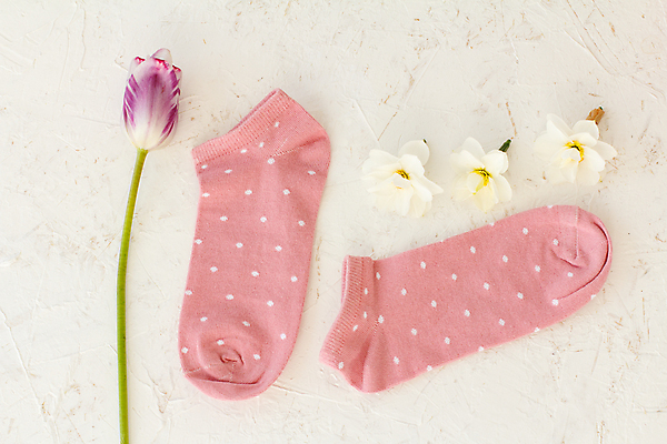 포토 JPG 해외이미지 꽃 분홍색 양말 사람없음 하이앵글 오브젝트 해외202309 해외포토 식물 뷰포인트 컬러 파일형식