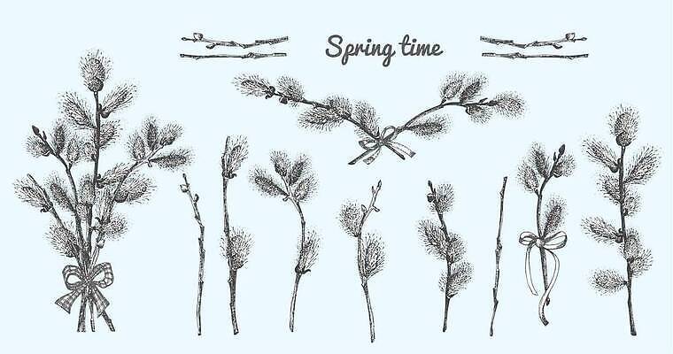 EPS 해외이미지 나무 1 손 계절 꽃 행복 리본 선 꽃다발 백그라운드 꽃무늬 일러스트 포옹 휴가 수채화 부활절 검은색 고양이 봄 수확 벚꽃 흰색 나뭇가지 토끼 막대기 낙서 만화 스케치 다발 수집 버드나무 심볼 활 윤곽 판화 솜털 일요일 고립 엘리먼트 벡터 해외202309 해외일러스트 식물 기념일 감정 컬러 무늬 농업 포유류 안기 미술 신체부위 반려동물 요일 파일형식