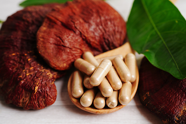 포토 JPG 해외이미지 잎 건강 사람없음 알약 약초 나무숟가락 영지버섯 해외202309 해외포토 식물 약 숟가락 버섯 풀_식물 파일형식