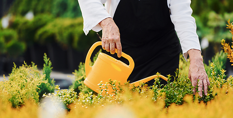 포토 JPG 해외이미지 백인 여자 노년 행복 화분 한명 들기 취미 야외 앞모습 실버라이프 정원 봄 기쁨 물뿌리개 하반신 물주기 원예 원예식물 원예용품 노인여자한명만 해외202309 해외포토 서양인 식물 1 라이프스타일 계절 감정 뷰포인트 생활용품 모션 사람 성인 여자한명만 노인여자만 파일형식