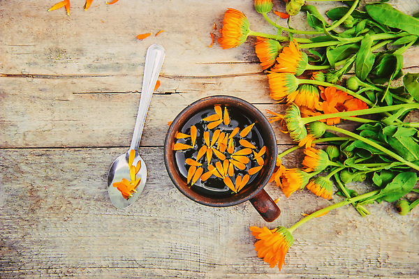 포토 JPG 해외이미지 꽃잎 사람없음 주황색 약초 찻잔 티스푼 꽃차 해외202309 해외포토 꽃 컬러 잔 차_음료 숟가락 풀_식물 파일형식