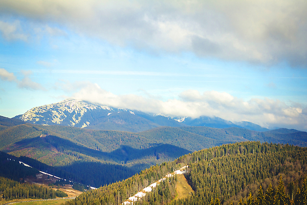 포토 JPG 해외이미지 나무 구름 공원 꽃 실루엣 도로 길 호수 선 여행 백그라운드 자국 자연 하늘 성공 산 파노라마 풍경 사람없음 초록색 물 여름 파란색 강 뷰티 계곡 봄 안개 개울 가장자리 정상 숲 윤곽 장면 지역 암초 전국 절정 수평선 해외202309 해외포토 자연요소 식물 계절 공공시설 컬러 컨셉 교통시설 날씨 촬영기법 둘레 생태계 파일형식