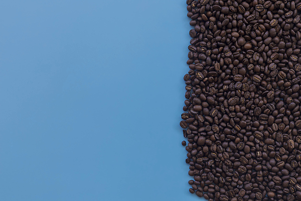 포토 JPG 해외이미지 커피 음료 음식 백그라운드 패턴 재료 벽지 아침 콩 씨앗 사람없음 두명 갈색 검은색 어둠 공백 카페 흰색 신선 뜨거움 그룹 플랫 아침식사 정상 낟알 굽기 메뉴 질감 파란배경 아로마 스크래치 카푸치노 에스프레소 흙더미 내추럴 항공촬영 모카 아라비카 카페인 목업 카피스페이스 비어있는 해외202309 해외포토 주간 식물 뷰포인트 컬러 무늬 곡류 사람 파란색 상점 식사 흙 구이 파일형식 더미