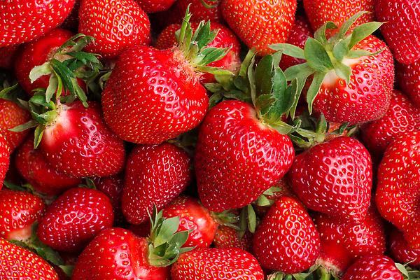 포토 JPG 해외이미지 과일 딸기 사람없음 빨간색 무더기 해외202309 해외포토 컬러 파일형식