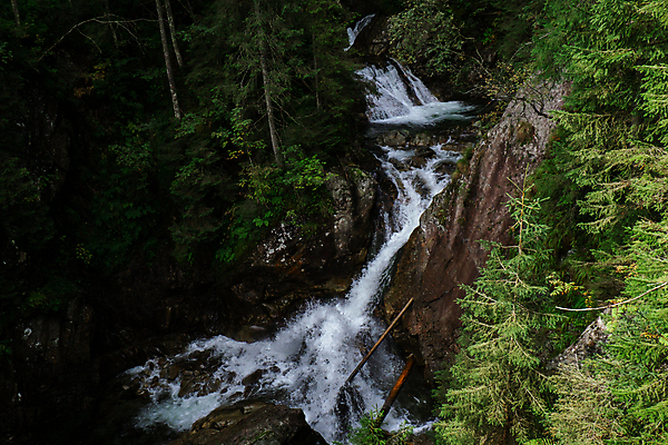 포토 JPG 해외이미지 나무 웰빙 계절 도로 길 야생동물 여행 백그라운드 잎 자연 아침 국립공원 사람없음 야외 목재 초록색 물 강 태양 환경 침묵 하이킹 개울 황무지 숲 오솔길 지역 방법 삼림지대 해외202309 해외포토 주간 자연요소 식물 동물 공원 컬러 재료 교통시설 레저 소리 생태계 파일형식