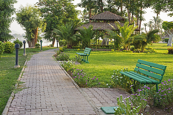 포토 JPG 해외이미지 나무 식물 공원 길 여행 벤치 의자 자연 하늘 휴가 파노라마 이집트 풍경 잔디 사람없음 야외 초록색 여름 파란색 강 뷰티 환경 탑 정원 전원 큼 오솔길 식물원 내추럴 해외202309 해외포토 건축물 계절 공공시설 컬러 가구 아프리카 촬영기법 전기에너지 크기 생태계 파일형식