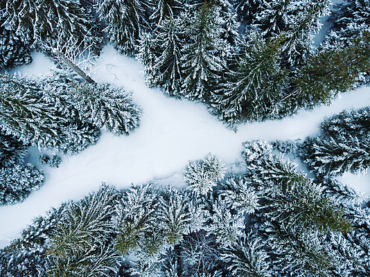 포토 JPG 해외이미지 나무 유럽 길 여행 겨울 자연 산 안테나 사람없음 야외 빛 뷰티 추위 흰색 숲 서리 폴란드 항공촬영 슬로바키아 눈내림 해외202309 해외포토 식물 계절 나라 뷰포인트 컬러 통신 눈_날씨 생태계 파일형식