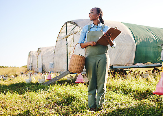 포토 JPG 해외이미지 주간 전신 라이프스타일 여자 한명 들기 잔디 성인 야외 앞모습 농장 축산업 농부 비닐하우스 전원생활 서류판 양계장 성인여자한명만 해외202309 해외포토 자연요소 식물 직업 1 산업 뷰포인트 농업 모션 사람 생활 사무용품 여자한명만 성인여자만 파일형식