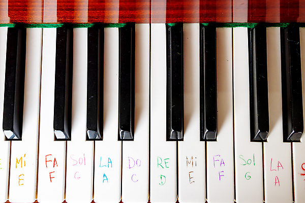 포토 JPG 해외이미지 교육 음악 백그라운드 컨셉 노래 텍스트 학교 놀이 수업 열쇠 창조 미술 사람 사람없음 학습 검은색 쪽지 화목 소리 콘서트 공연 음악가 흰색 기구 키보드 클래식 닫기 편지 심볼 묘사 사인 예술가 상아 재즈 멜로디 뮤지컬 해외202309 해외포토 직업 컬러 모션 문화예술 이벤트 파일형식