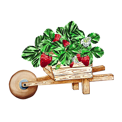 포토 JPG 해외이미지 클립아트 식물 디자인 열매 꽃 잎 꽃무늬 농업 일러스트 딸기 추상 건강 미술 사람없음 목재 그래픽 농장 정원 카트 수레 장비 수확 화물 벚꽃 공구 시골 스케치 오브젝트 그림 손그림 고립 밭일 스크랩북 해외202309 해외일러스트 나무 산업 무늬 과일 재료 문화예술 운송업 도구 파일형식