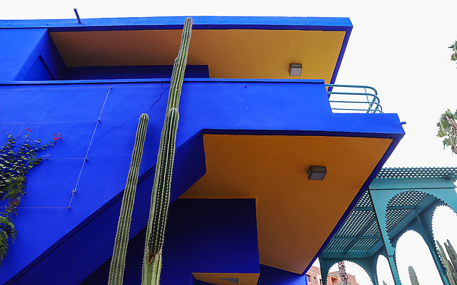 포토 JPG 해외이미지 나무 식물 디자인 컬러 여행 건축양식 아프리카 자연 선인장 주택 손바닥 사람없음 장식 초록색 파란색 컬러풀 정원 우아함 성자 모로코 아랍어 해외202309 해외포토 손 건축 나라 종교 컨셉 건물 생태계 파일형식