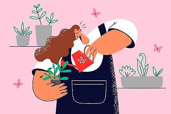 EPS 해외이미지 라이프스타일 여자 화분 분홍색 나비 일러스트 선반 한명 상반신 성인 취미 앞치마 물뿌리개 원예 성인여자한명만 해외202309 해외일러스트 1 컬러 가구 곤충 사람 생활 여자한명만 성인여자만 파일형식 벡터