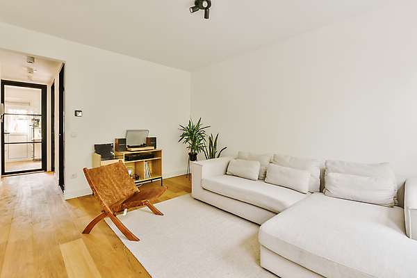 포토 JPG 해외이미지 식물 화분 의자 사람없음 인테리어 문 카펫 공간 방 해외202309 해외포토 디자인 가구 파일형식