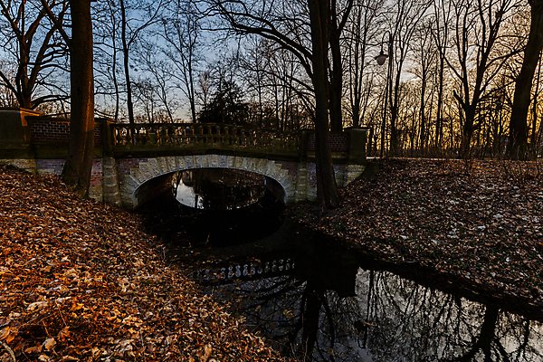 포토 JPG 해외이미지 나무 계절 공원 유럽 호수 컬러 겨울 건축양식 자연 하늘 풍경 사람없음 야외 목재 초록색 물 파란색 빛 강 컬러풀 태양 뷰티 반사 환경 일몰 봄 새벽 시골 연못 숲 장면 폴란드 내추럴 브로츠와프 해외202309 해외포토 자연요소 식물 공공시설 건축 나라 재료 노을 생태계 파일형식