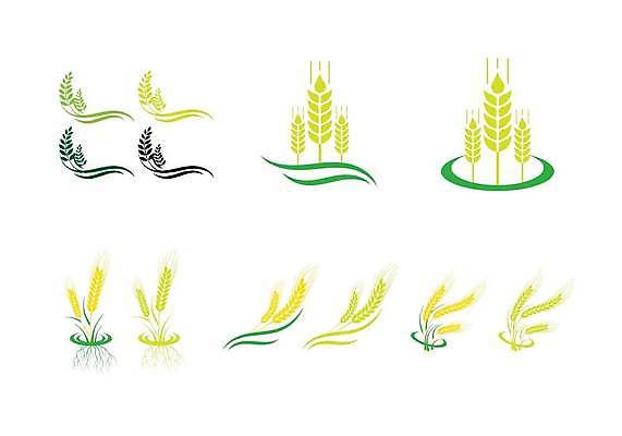 EPS 해외이미지 식물 디자인 실루엣 음식 빵 백그라운드 패턴 밭 농업 일러스트 자연 밥 건강 옥수수 씨앗 그래픽 여름 농작물 세트 농장 노란색 빵집 수확 성장 가을 흰색 신선 황금 낟알 시리얼 밀 먹기 심볼 사인 유기농 보리 귀 스파이크 내추럴 방앗간 고립 숙성 엘리먼트 호밀 벡터 해외202309 해외일러스트 웰빙 계절 산업 컬러 무늬 모션 곡류 촬영기법 신체부위 상점 생태계 파일형식