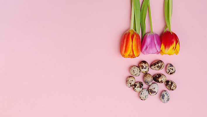 포토 JPG 해외이미지 식물 디자인 계절 꽃 행복 분홍색 백그라운드 컨셉 꽃무늬 자연 추상 휴가 부활절 기념 이벤트 사람없음 장식 빨간색 빛 컬러풀 봄 튤립 벚꽃 오브젝트 레이아웃 초대 내추럴 파스텔톤 해외202309 해외포토 기념일 감정 컬러 무늬 생태계 파일형식