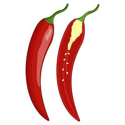 EPS 해외이미지 디자인 배너 음식 백그라운드 잎 다이어트 채소 과일 일러스트 자연 고추 추상 디저트 실내 건강 미술 씨앗 주스 신선 플랫 달콤 맛 만화 먹기 심볼 그림 에코 유기농 슬라이스 후추 내추럴 고립 숙성 채식주의자 벡터 미니멀리스트 비건 맛있는 해외202309 해외일러스트 식물 웰빙 음료 컨셉 무늬 모션 문화예술 내부 환경 향신료 생태계 채식 파일형식