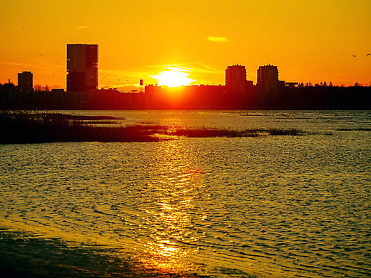 포토 JPG 해외이미지 남자 실루엣 분홍색 컬러 과학 항해 건강 사람없음 그래픽 가로 햇빛 노란색 평화 우주 희망 새벽 별자리 기쁨 광선 달 표현 춤 그룹 황금 떨어짐 군중 신비 달빛 명상 은하계 해군 공상 천문학 마법 스카이라인 네비게이션 성운 광 넘어짐 해외202309 해외포토 자연요소 교육 감정 컨셉 배_교통 모션 문화예술 군대 촬영기법 사람 태양 파일형식