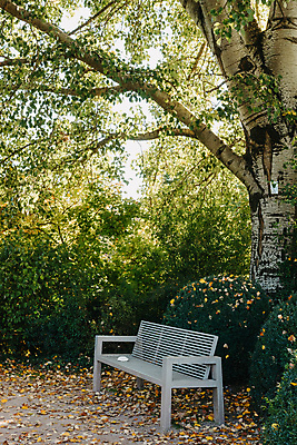 포토 JPG 해외이미지 나무 식물 공원 벽 가구 백그라운드 잎 벤치 의자 창문 자연 휴식 주택 잔디 사람없음 야외 목재 빨간색 세로 초록색 태양 뷰티 걷기 환경 정원 침묵 봄 성장 흰색 신선 도시 묘사 장면 부활 아이비 타운 옛날 해외202309 해외포토 자연요소 계절 공공시설 컬러 생활용품 컨셉 재료 모션 건물 소리 생태계 파일형식