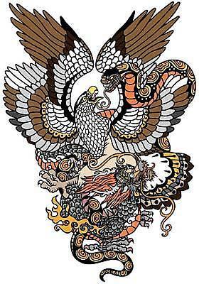 EPS 해외이미지 동물 일러스트 조류 생물 힘 용 뱀 충돌 문신 심볼 싸움 독수리 육식동물 투쟁 벡터 해외202309 해외일러스트 파충류 모션 파일형식