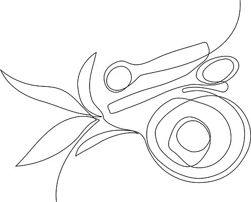 EPS 해외이미지 식물 1 행복 선 일러스트 장신구 선인장 건강 뷰티 유행 계란 스파 화장품 흐름 영혼 맛 잡지 상품 피부 유기농 올리브 윤곽 대리석 라임 모음 꿀 유지 내추럴 VIP 돌봄 무료 변기통 반복 해외202309 해외일러스트 웰빙 열매 감정 컨셉 과일 재료 모션 한글 신체부위 간행물 알 파일형식 벡터