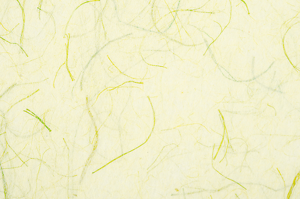 포토 JPG 해외이미지 선 백그라운드 사람없음 연두색 한지 질감 카피스페이스 해외202309 해외포토 종이 초록색 공백 파일형식