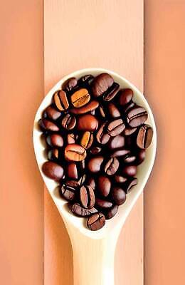 EPS 해외이미지 디자인 커피 음료 음식 백그라운드 컨셉 일러스트 탁자 아침 콩 씨앗 목재 컵 갈색 상점 숟가락 검은색 어둠 카페 수확 흰색 시골 신선 뜨거움 맛 아침식사 낟알 굽기 국자 복고 아로마 향 쏟아짐 카푸치노 에스프레소 내추럴 고립 단절 라떼 모카 아라비카 엘리먼트 카페인 벡터 해외202309 해외일러스트 주간 나무 식물 식기 컬러 가구 농업 재료 모션 주방용품 곡류 수저 식사 구이 파일형식