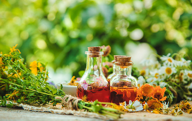 포토 JPG 해외이미지 꽃 잎 유리병 사람없음 야외 약초 해외202309 해외포토 식물 병_용기 풀_식물 파일형식