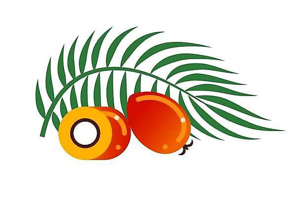 EPS 해외이미지 산업 아시아 음식 스티커 잎 농업 다이어트 과일 일러스트 재료 아프리카 손바닥 요리 그래픽 빨간색 농작물 라벨 화장품 견과류 액체 플랫 상품 먹기 심볼 에코 유기농 알맹이 날것 심플 말레이시아 내추럴 고립 돌봄 바이오 에센스 엘리먼트 원자재 이국적 채식주의자 벡터 세련 비건 해외202309 해외일러스트 식물 손 웰빙 나라 컬러 모션 프레임 건강 뷰티 환경 채식 파일형식