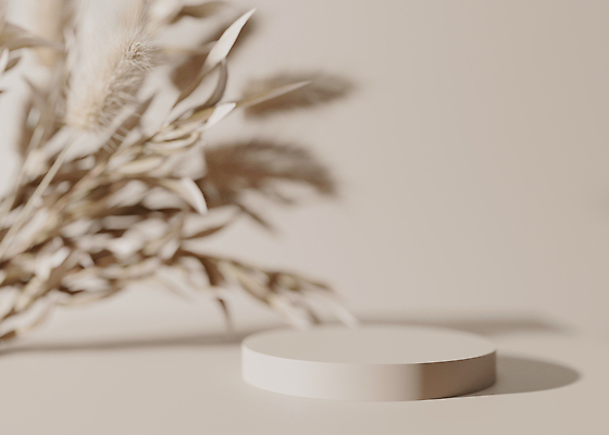 포토 JPG 해외이미지 백그라운드 사람없음 공간 원형 풀잎 단상 포디움 해외202309 해외포토 도형 잎 무대 풀_식물 파일형식