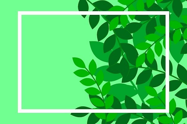 EPS 해외이미지 나무 식물 디자인 꽃 백그라운드 잎 꽃무늬 패턴 일러스트 자연 벽지 추상 수채화 바나나 손바닥 미술 그래픽 장식 초록색 여름 컬러풀 유행 정원 봄 수확 흰색 나뭇가지 직물 인쇄 천 그림 질감 복고 하와이 이국적 파라다이스 하와이인 벡터 알로하 해외202309 해외일러스트 외국인 손 계절 컬러 무늬 농업 과일 문화예술 미국 인사 생태계 파일형식 산업 북아메리카 인종 신체부위 예절 아메리카 사람 대륙